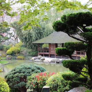 Décor pour votre tournage : jardin japonais et palais des Thés