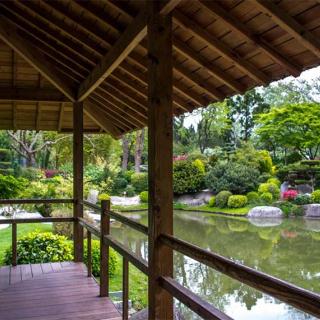 Décor pour votre tournage : le jardin japonais, vue sur le lac