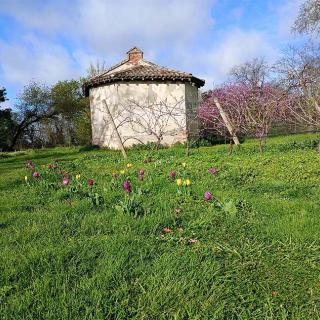 Lieu de tournage Domaine de Candie